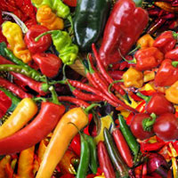 Chiles
